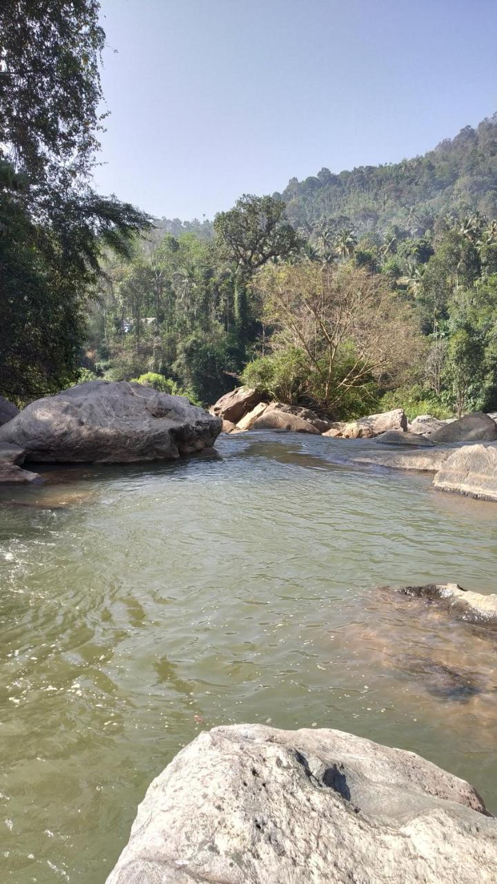 Thoppil Homestay Munnar Esterno foto